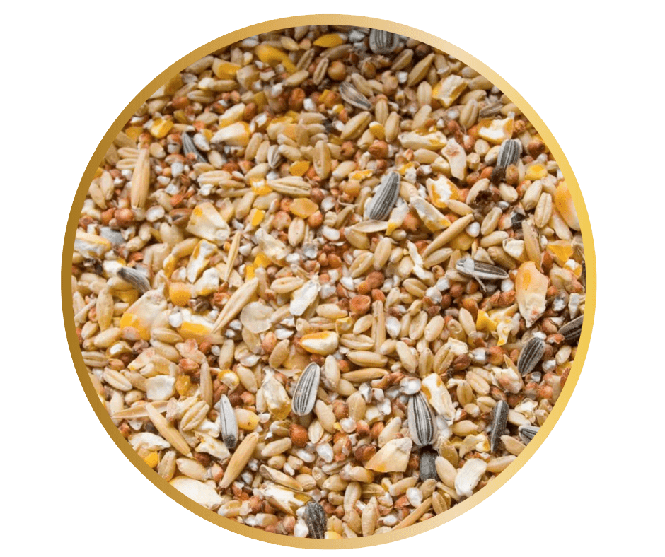 Allora Mixed Grain 2kg Large range of quality feeds The Good Life