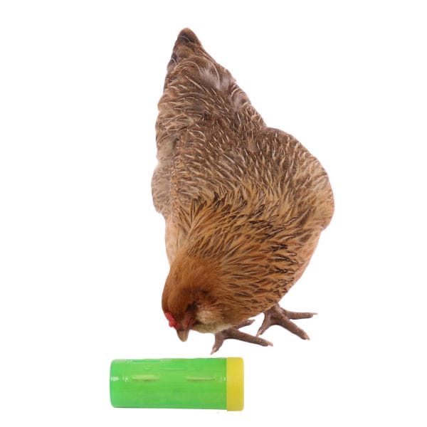 Treat Roller Toy For Chickens