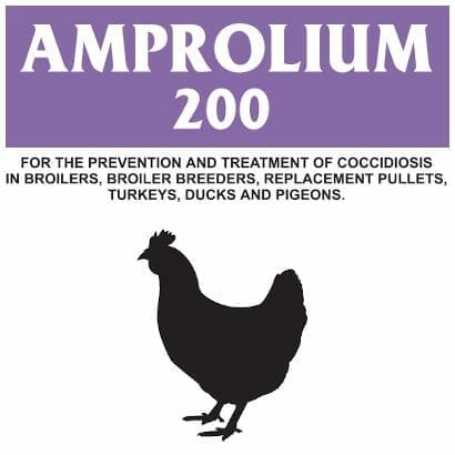 Allfarm Amprolium Instructions - Coccidiosis Treatment in Chickens
