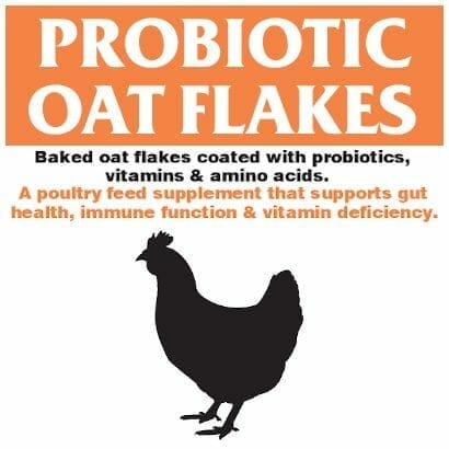 Allfarm Probiotic Oat Flakes