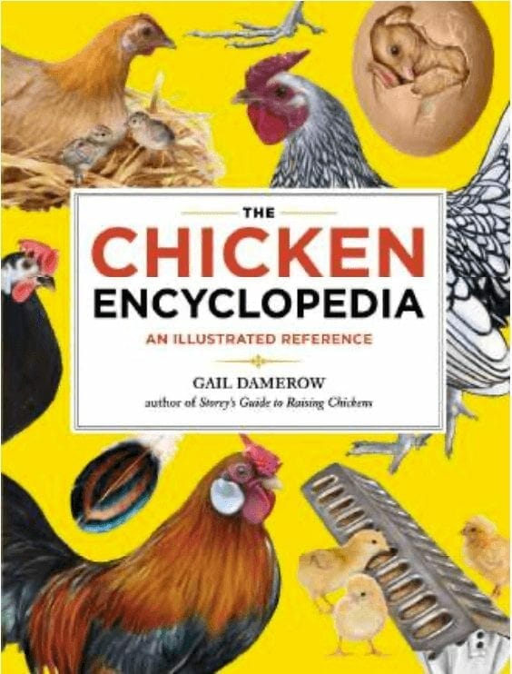 Chicken Enycopedia