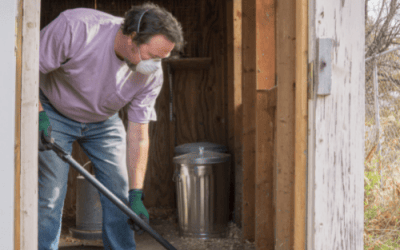 Cleaning the chicken coop