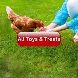 All Toys & Treats