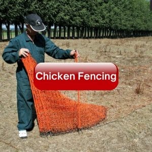 Chicken Fencing