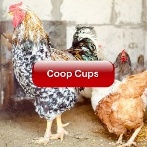 Coop Cups