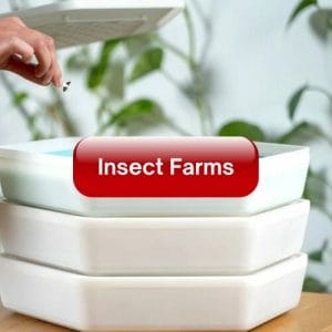 Insect Farms