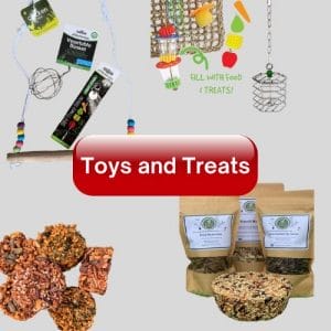 Toys & Treats